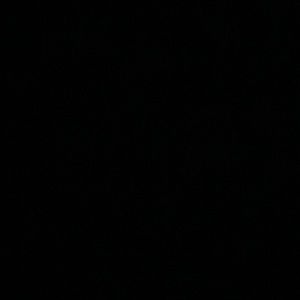 Meet your Posher, Sonia